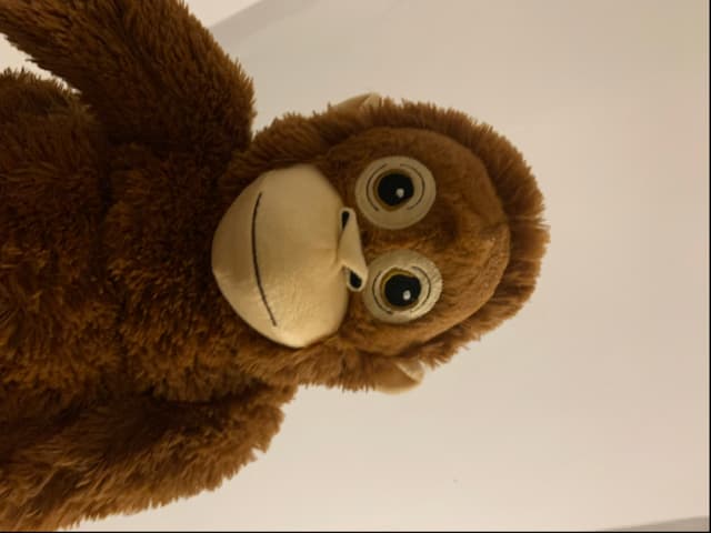 Wrobeleek profile picture