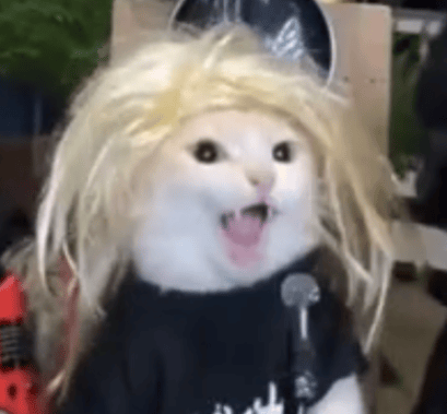 pachiscl profile picture