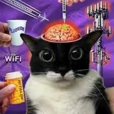 9DEEZ profile picture