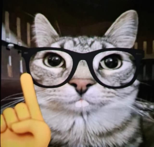 gojkonigga profile picture