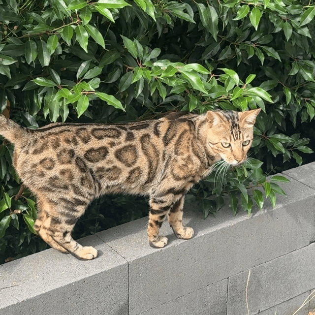 MaeHuiRuiRod profile picture