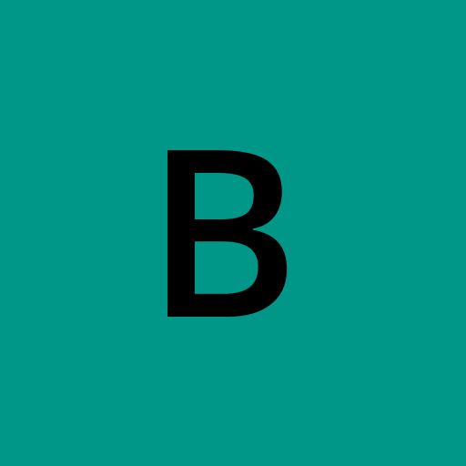 BrendaPiresBitencourt profile picture