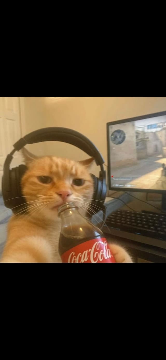 Gingerbredkid profile picture