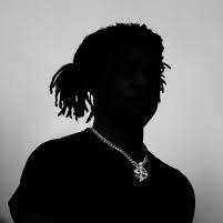 Vixerier profile picture