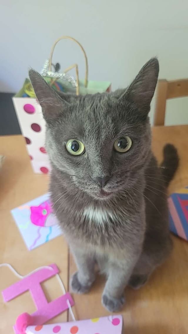 Nohamchr profile picture