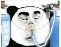 HeyKnife profile picture