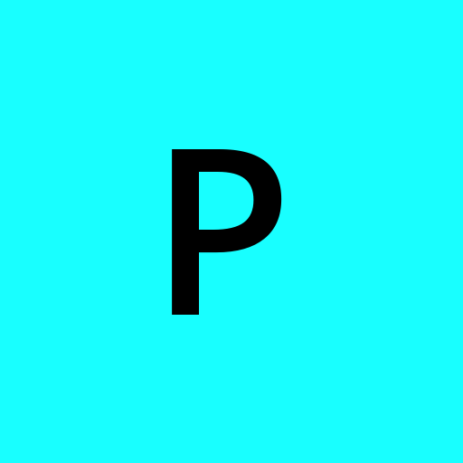 pasnini profile picture