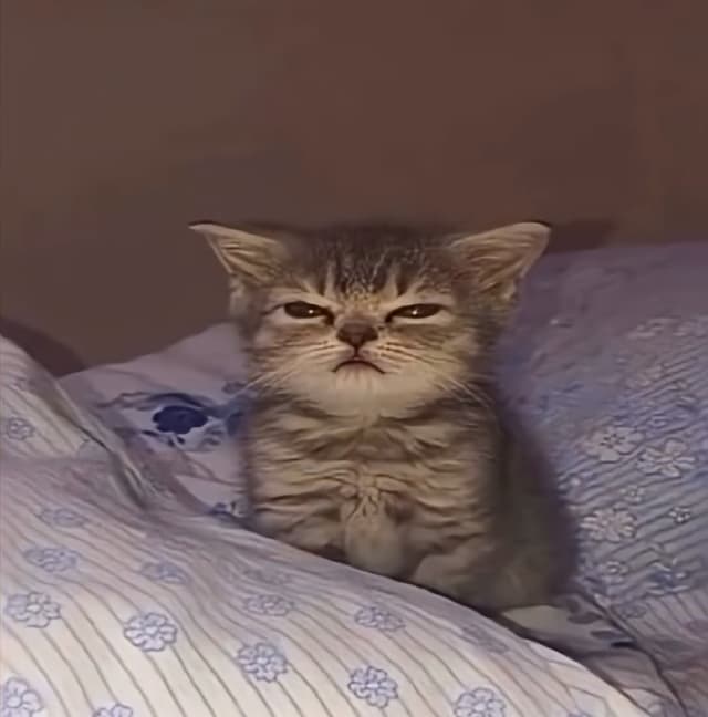 nuggetsAndpotatoes profile picture
