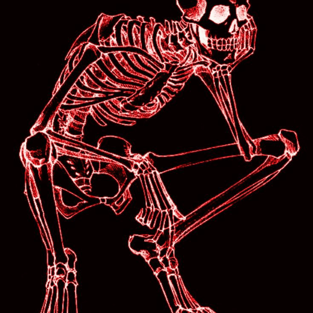 Yxngx profile picture
