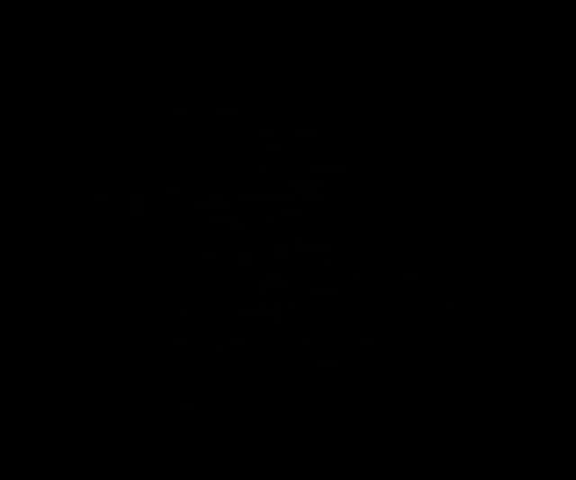 jjoorrddaann profile picture
