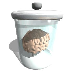 jaarofbrainz profile picture
