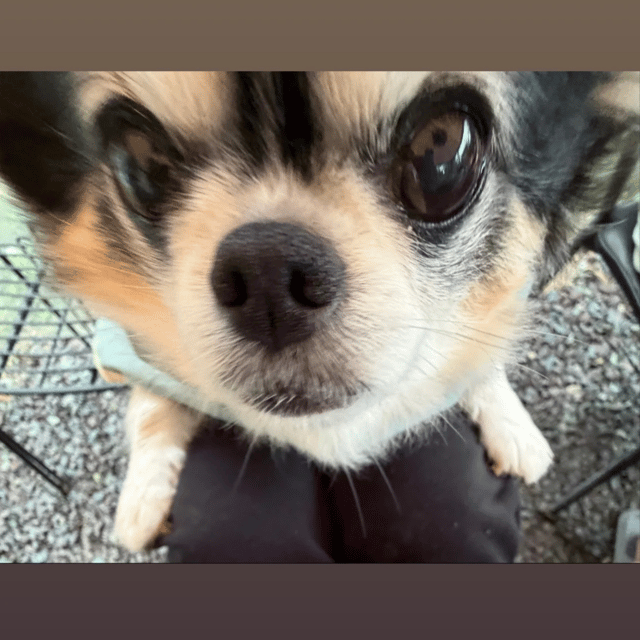 Straykidsfanlove profile picture