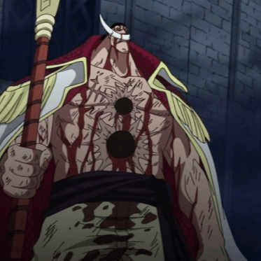 EvanJoestar profile picture