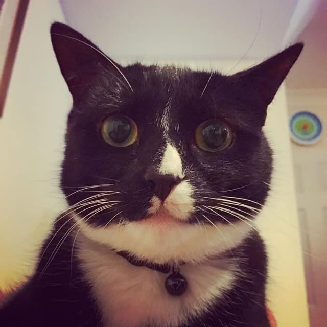 tabbitastic profile picture