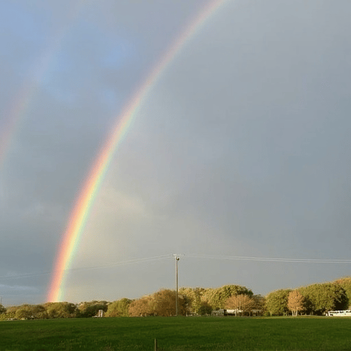 LetsGoBobbyFriends profile picture