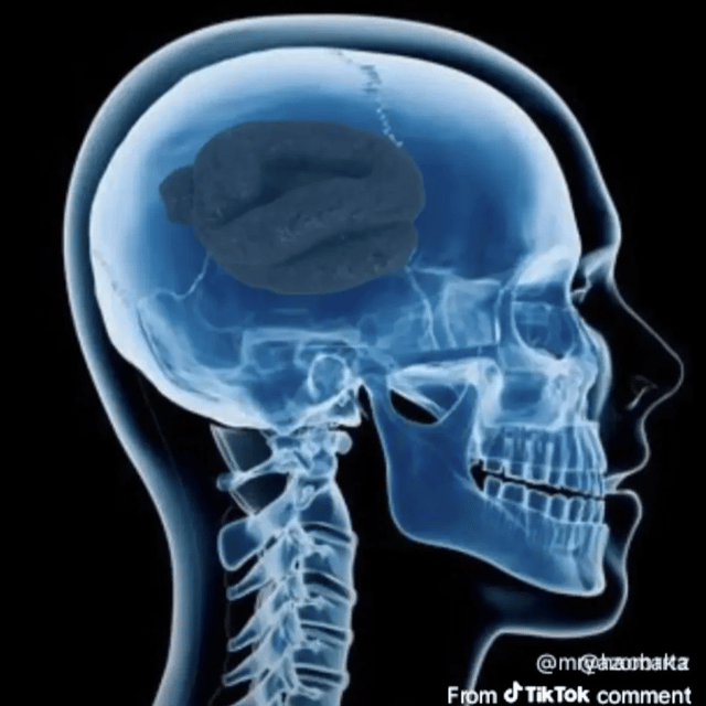 VinnichichyDelTrauv profile picture