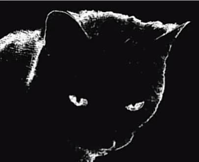 Ilikemusiclol profile picture