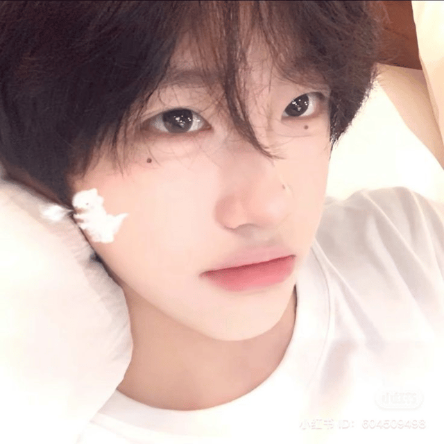 EchoOne profile picture