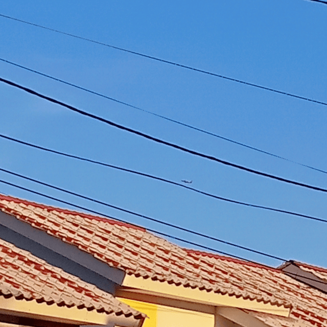 imkh profile picture