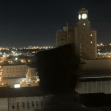liltopgmg profile picture