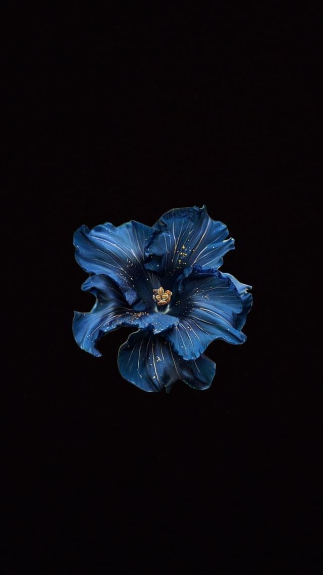 愛┃𝐀𝐲𝐝𝐚𝐧 profile picture