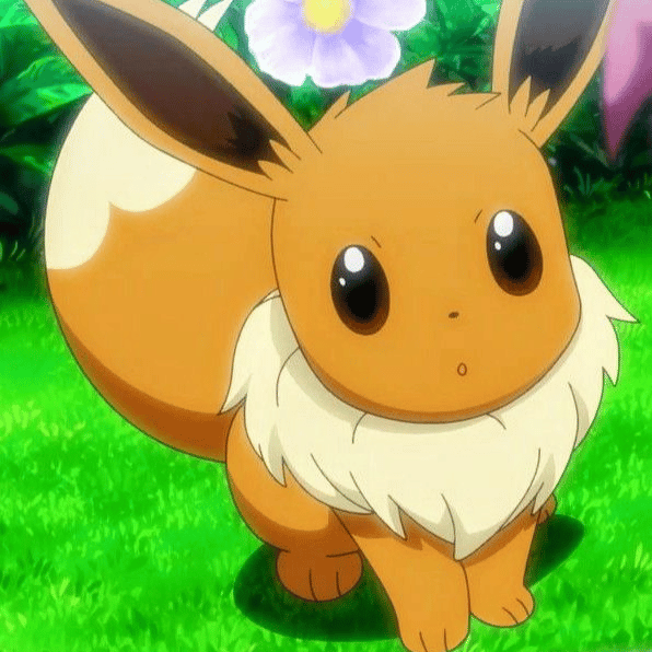 ed89631 profile picture