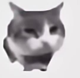 dammgood profile picture