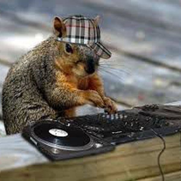 thespinna profile picture