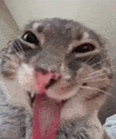 FL0PP3R profile picture