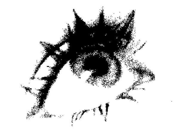 Cucumberthejammer profile picture