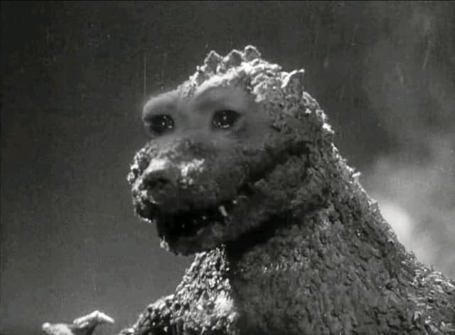 datgodzillaboi profile picture