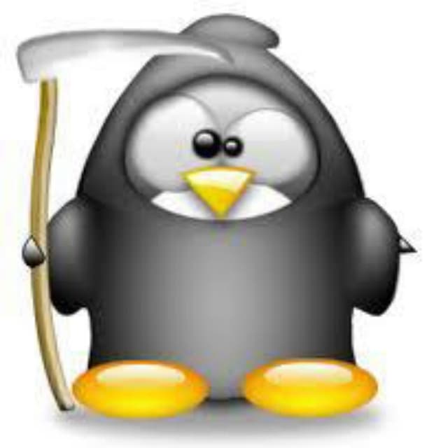 igor12344582 profile picture