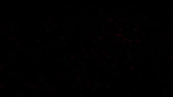 erphax profile picture