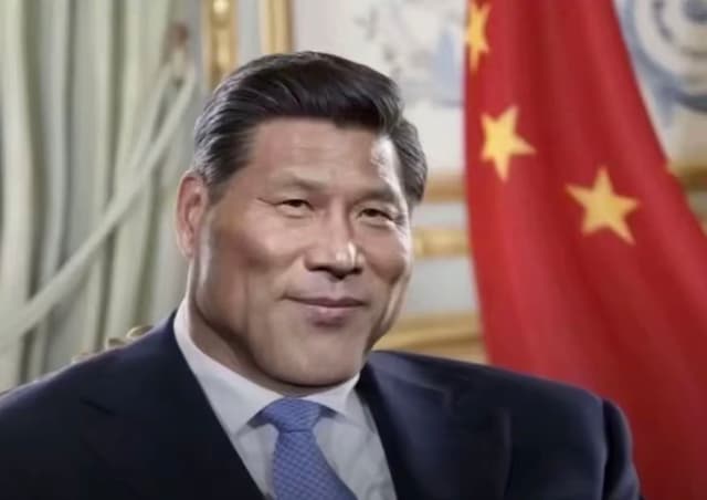 Tortueagile profile picture