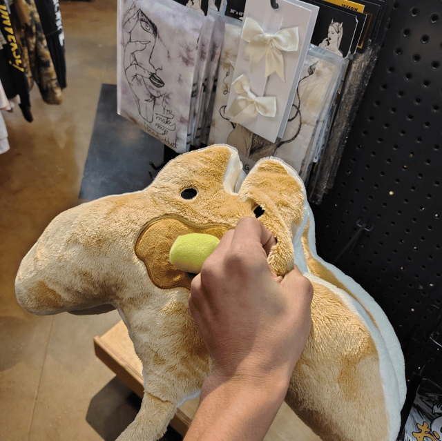 Pancakestingray profile picture