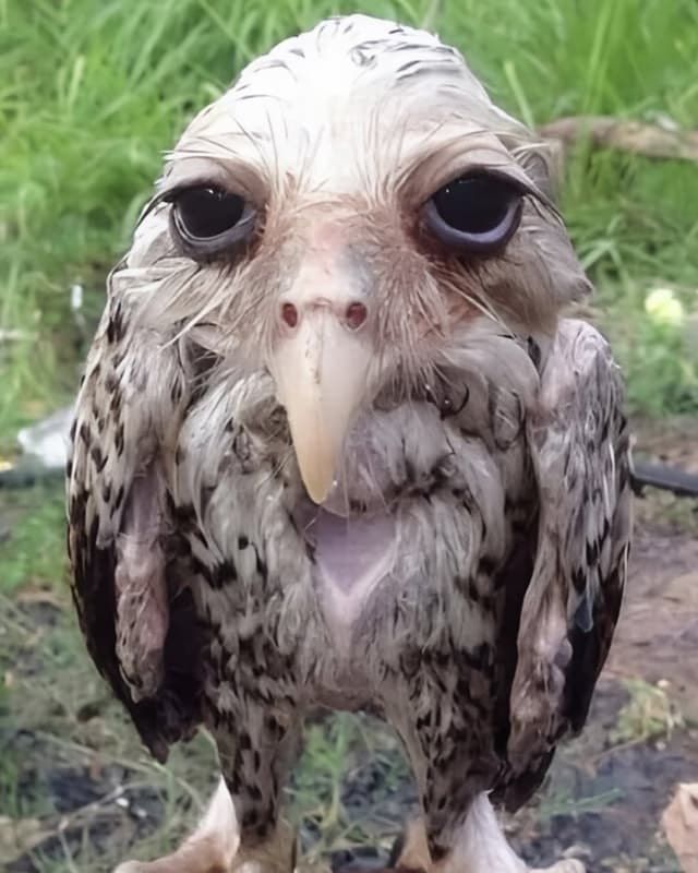 machkz profile picture