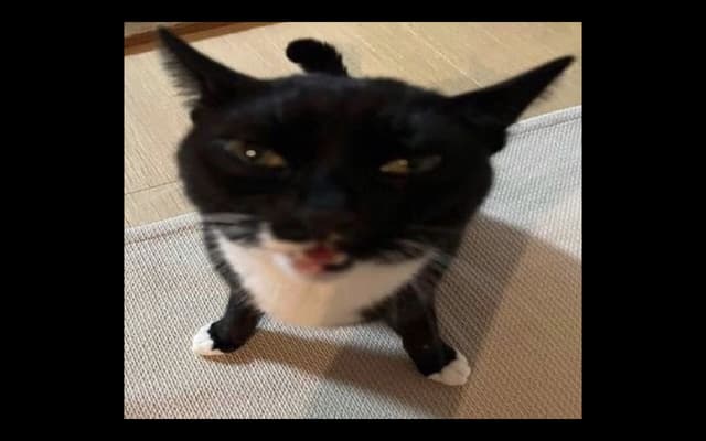 goobuhtheIII profile picture