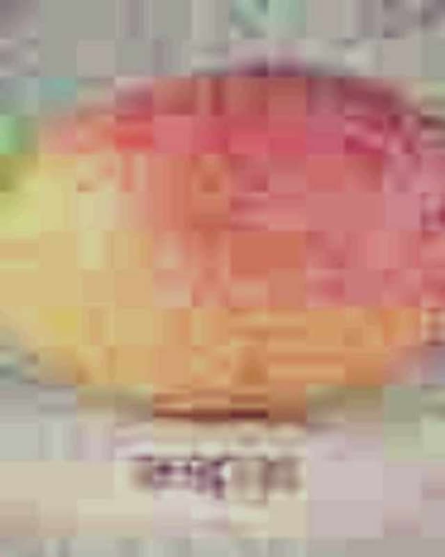 Nicols84 profile picture