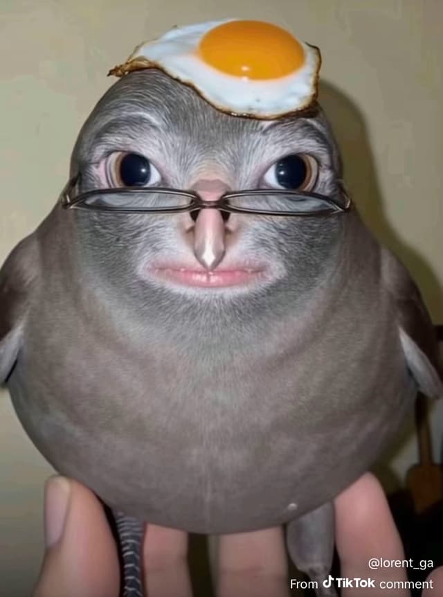 Coltinvr profile picture