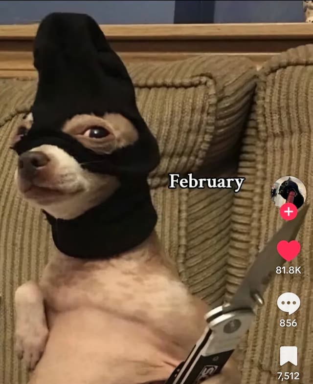 jeff4231 profile picture