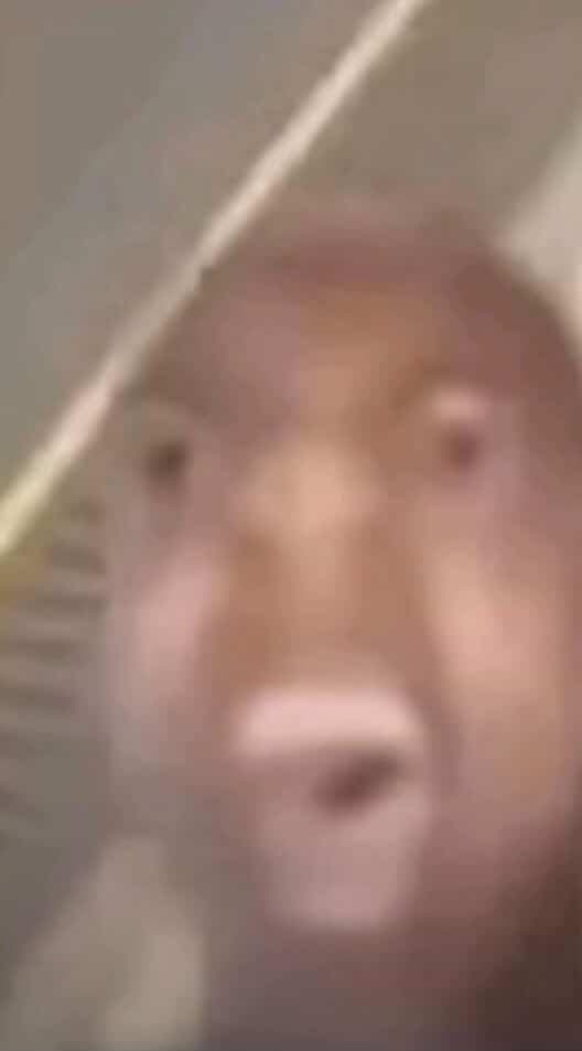pablo 884 profile picture