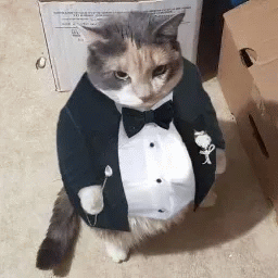 PhatKat profile picture