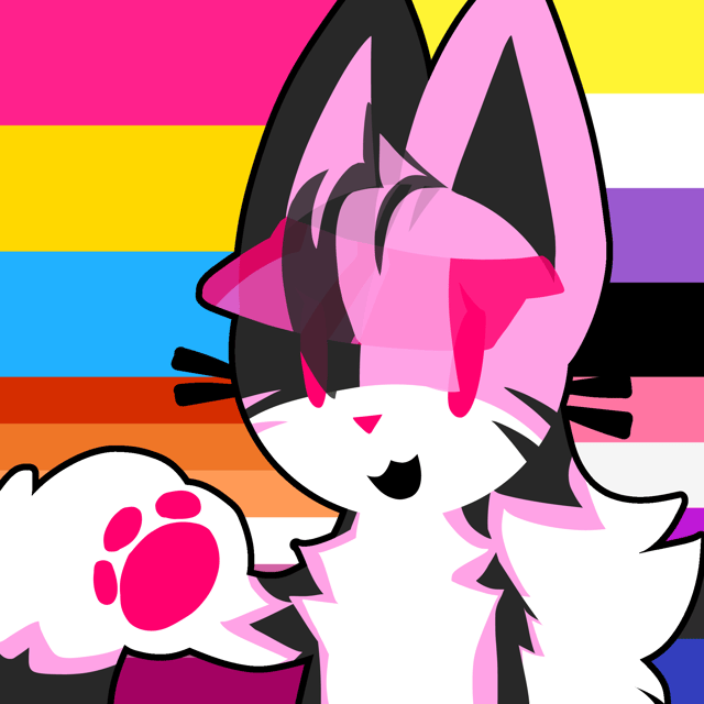 Pieankit profile picture