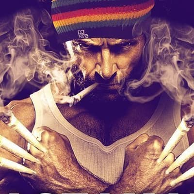 bolrboom profile picture