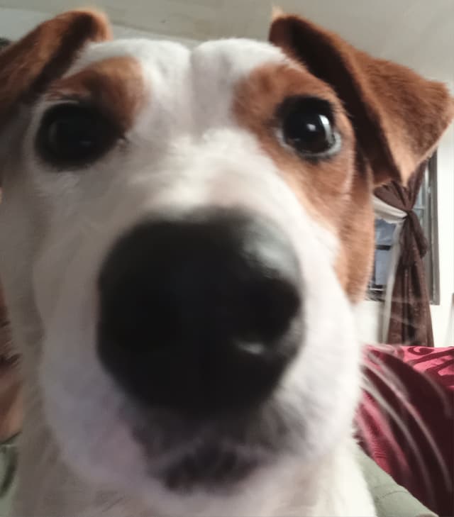 unon profile picture