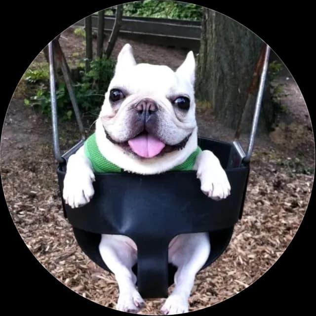voxku profile picture