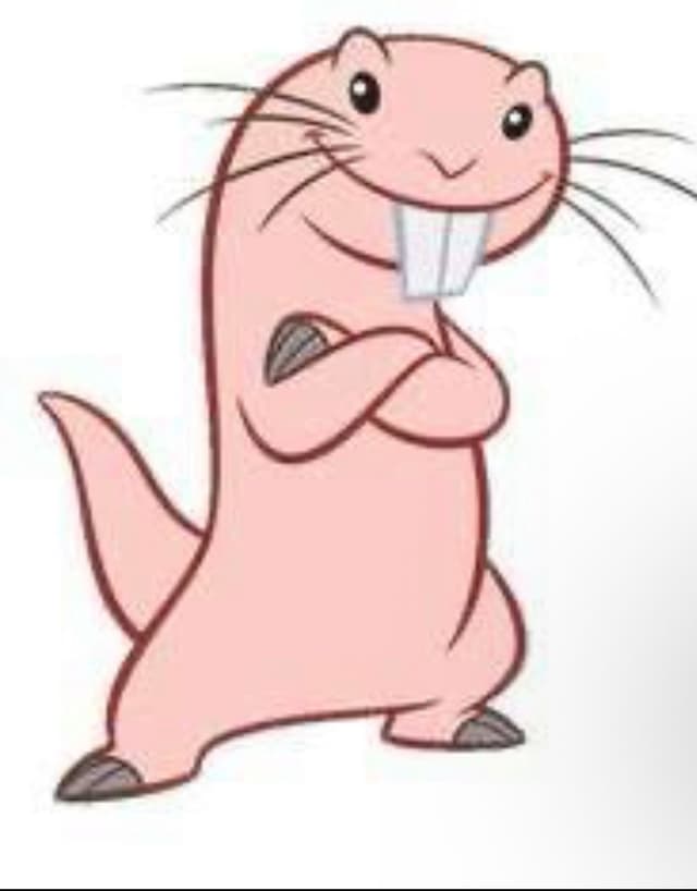 Luckon profile picture