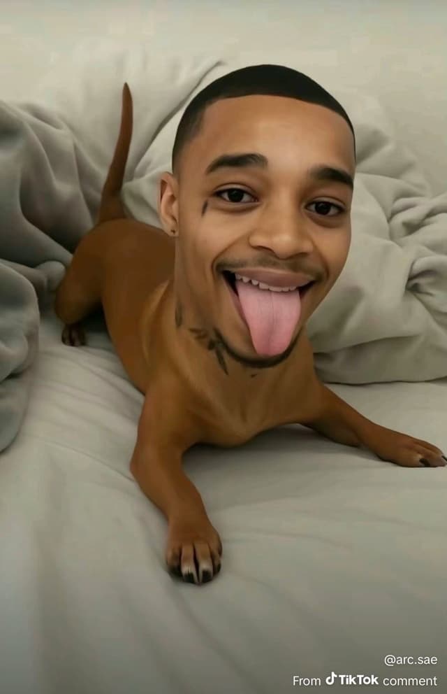 trxmaso profile picture