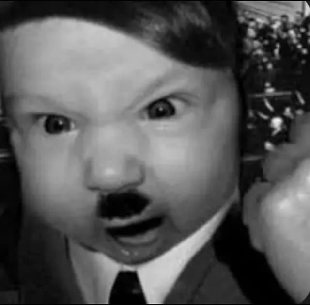 babyHitler profile picture
