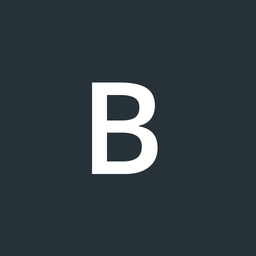BoVanBremen profile picture